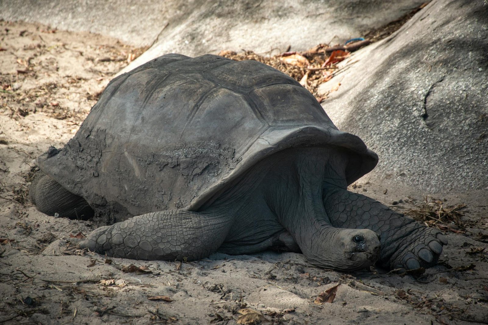 Ecuador e Galapagos